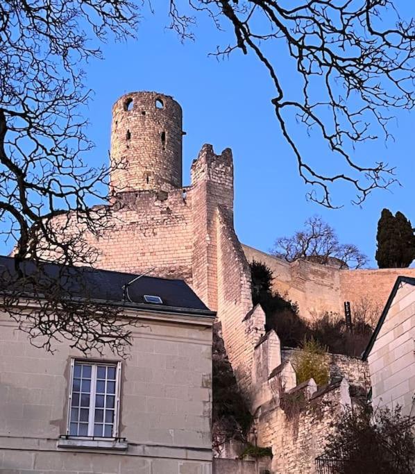 La Tour De L Horloge, Appt Typique A 500M Du Chateau チノン エクステリア 写真