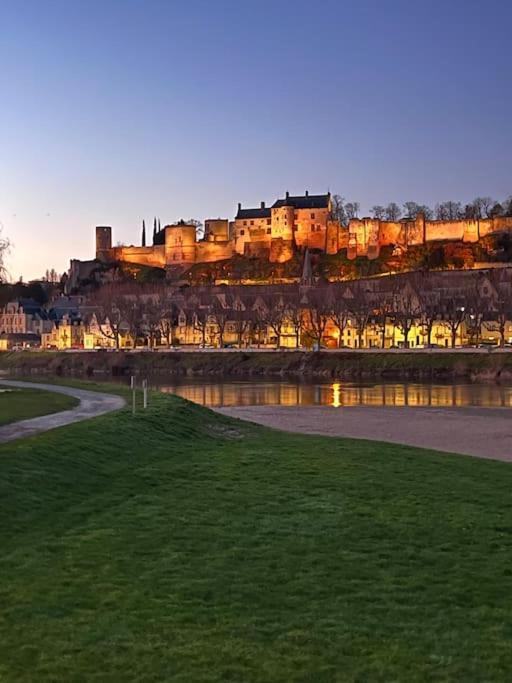 La Tour De L Horloge, Appt Typique A 500M Du Chateau チノン エクステリア 写真